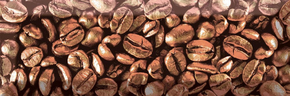 Gresie Absolut Keramika Coffee Decor Coffe Beans 3 100x300 maro lucios /22