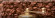 Плитка настенная Absolut Keramika Coffee Decor Coffe Beans Complect -3 300x300 коричневый