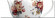 Gresie Absolut Keramika Tea Decor Tea White 3 Complect 3 100x300 mix lucios /1