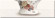 Плитка настенная Absolut Keramika Tea Decor Tea Cream 3 Complect 3 100x300 глянцевая микс / 3
