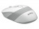 Мышь A4Tech FM10, Белый/Серый