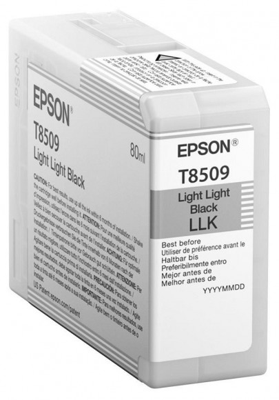 Cartuș de cerneală Epson T850 UltraChrome HD, C13T850900, negru deschis