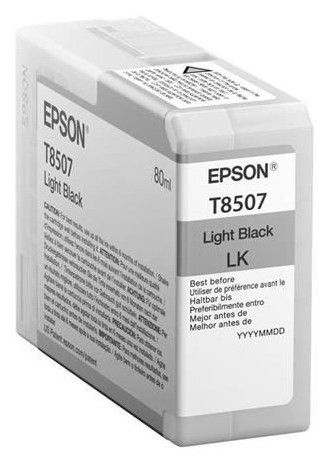 Cartuș de cerneală Epson T850 UltraChrome HD, C13T850700, negru deschis