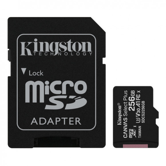 Card de memorie Kingston Canvas Select Plus 256 GB (SDCS2/256 GB)