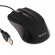 Mouse Qumo M66, Optical,1000 dpi, 3 buttons, Ambidextrous, Black, USB